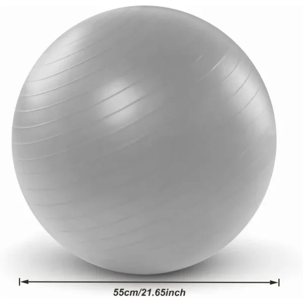 9f1d4500b318417bbd16bb29c5409d1f-goods.webp Yoga Balance Ball with Air Pump