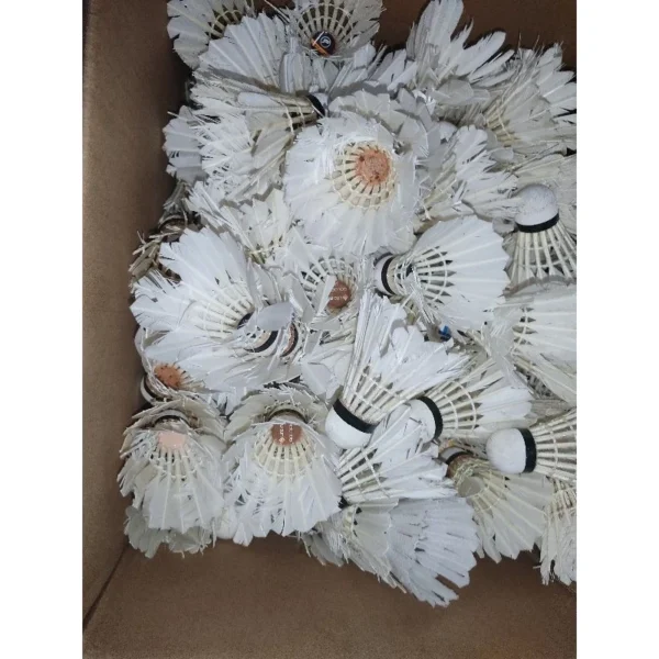 my-11134207-7rasi-m9oqj0rbpdtg19.webp Practice Badminton Shuttlecock