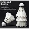 my-11134207-820le-mhpwpyoekagxae.webp BB AK Training Shuttlecock 3pcs