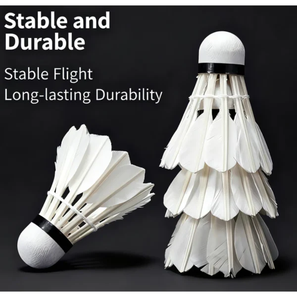 my-11134207-820le-mhpwpyoekagxae.webp BB AK Training Shuttlecock 3pcs